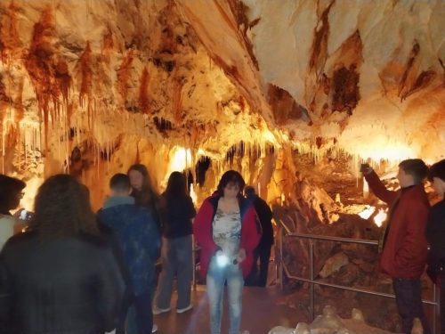 image0 (1) (1)